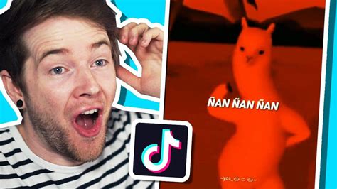 dantdm tik tok.